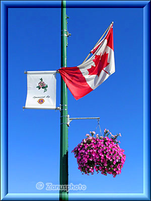 Blumenschmuck an der Main Street