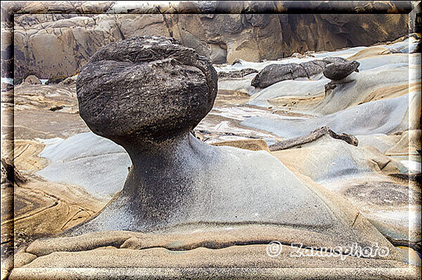 Salt Point State Park, oberhalb der Beach steht dieser Hoodoo