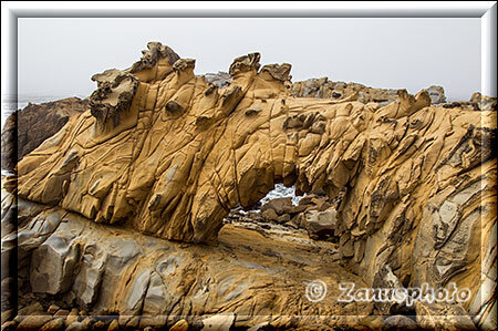 Salt Point State Park, Tafonis die zum Himmel zeigen