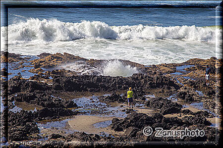 Cape Perpetua, der bekannte Thores Well sprudelt gerade Wasser wie in einem Kochtopf