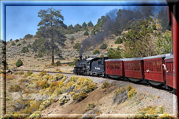 Cumbres Railroad, ein Dampfzug fährt durch ein hügeliches Waldgelände