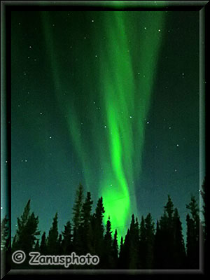 Nordlichter tummeln sich am Himmel