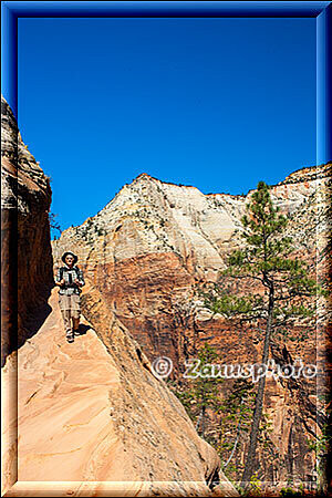 Zion Park, auf dem Rückweg vom Hidden Canyon kommen wir wieder an den Steilwänden vorbei