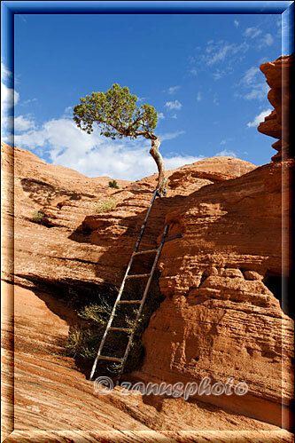 Corona Arch, wir finden eine kleine Leiter über die wir hinauf klettern müssen