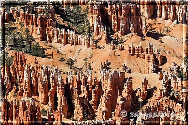 Bryce Canyon, viele rote Felsnasen mit weissen Spitzen sehen wir neben uns stehen