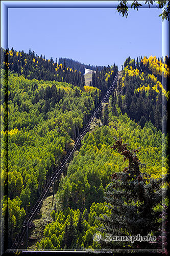 Telluride, Ansicht auf die durch den Wald ansteigende Trasse der Gondola Seilbahn