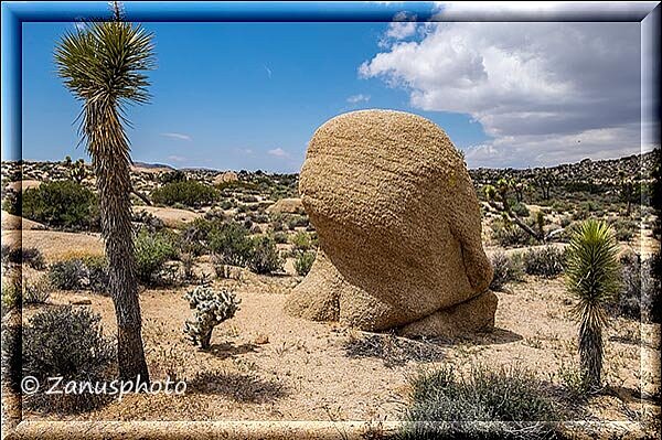Joshua Tree, dabei finden wir diesen Felsendom vor uns stehen