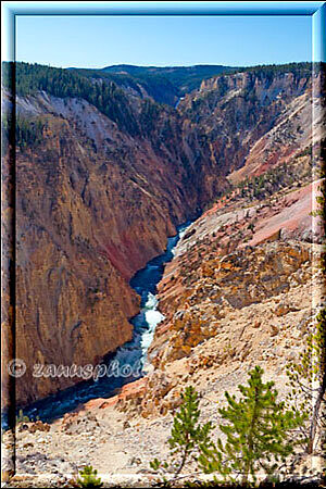 Grand Canyon, unsere Sicht fällt auf den Grand Canyon of Yellowstone