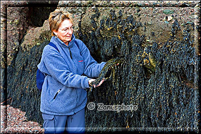 Frau steht an algenbehängter Felswand
