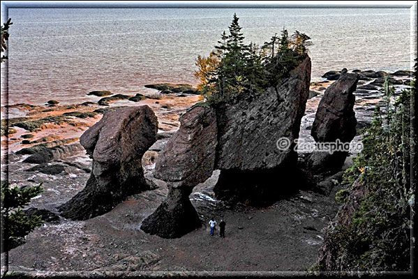 Die Flowerpot Rock mit Besuchern davor von oben gesehen