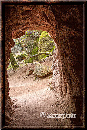 Pinnacles National Park, wir schauen zurück zum Eingang