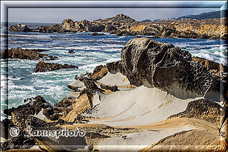 Salt Point State Park, Tafonis finden sich gerade im Sonnenlicht an der Beach