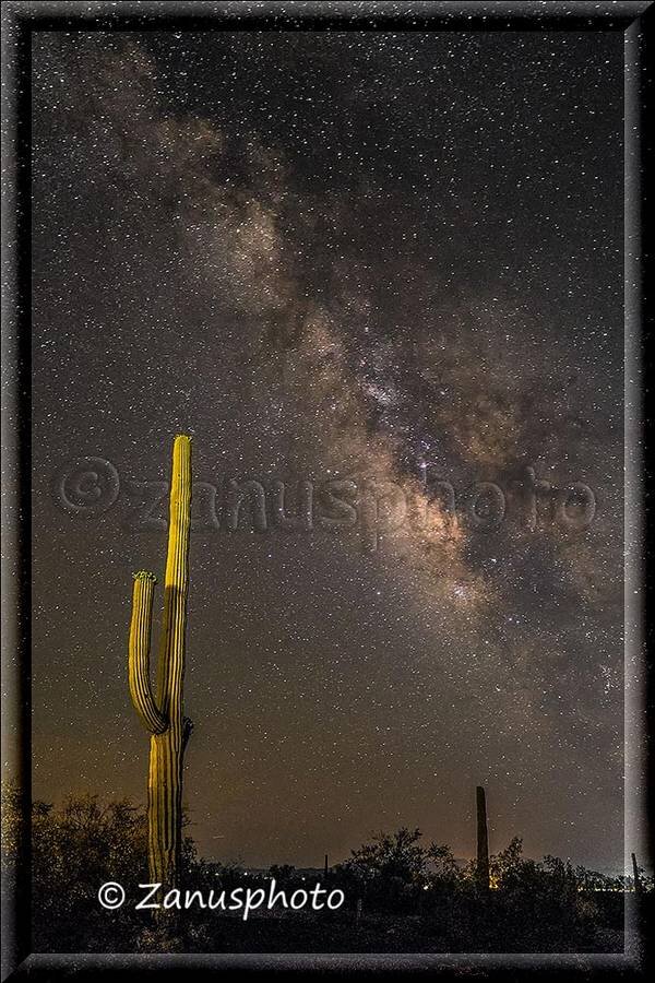 Organ Pipe, noch sehen wir die Milkyway nicht aber als der Mond verschwindet taucht sie direkt vor uns auf