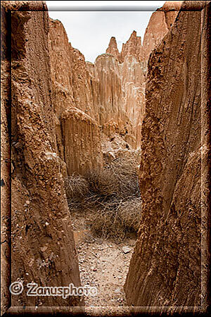 Cathedral Gorge, hier endet die Pfadspur