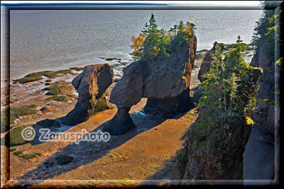 Flowerpot Rocks am Cape Hopewell