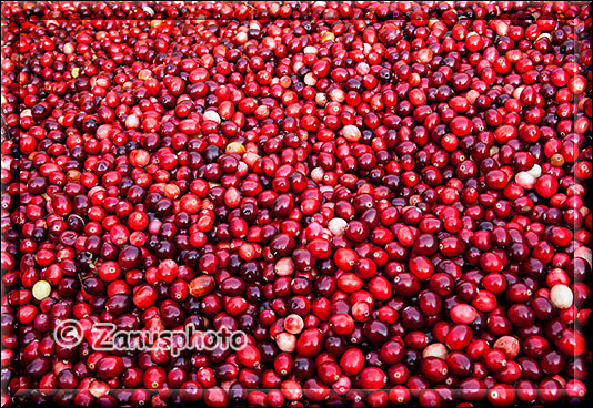 Cranberrys in einer Box