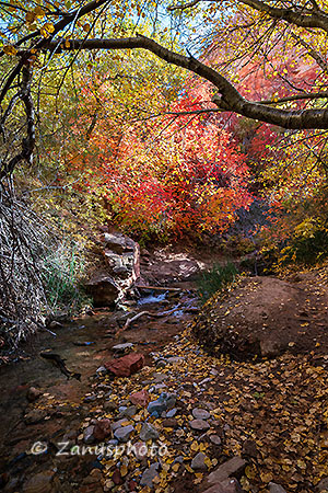 Kanarra Falls, herbstliche Ansicht entlang des Creeks