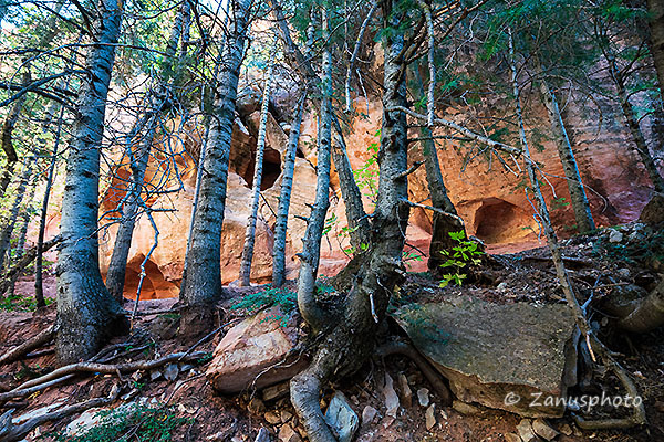 Kanarra Falls, oberhalb der Baumreihe finden wir Löcher in Felswandbereich