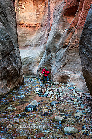 Kanarra Falls, umgeben von hohen Felswänden führt der Creek entlang