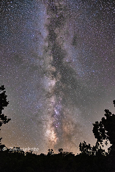 Bristlecone, Patriarch Grove, Milky Way am Himmel